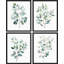 «Green Leaves Plants», impression sur papier 4 pièces-97782557-97782556