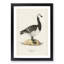 Barnacle Goose by Von Wright - Picture Frame Painting Print-55683250-55683256