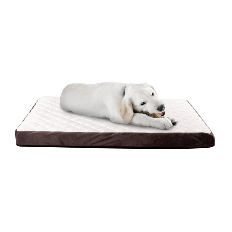 Lit pour chien PETMAker, Moyen (l 36 po x P 27 po x H 2,75 po)