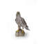 GOSHAWK DU NORD DEBOUT SUR UNE STATUE DE ROCHE