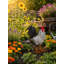 Statue de jardin Bellview
