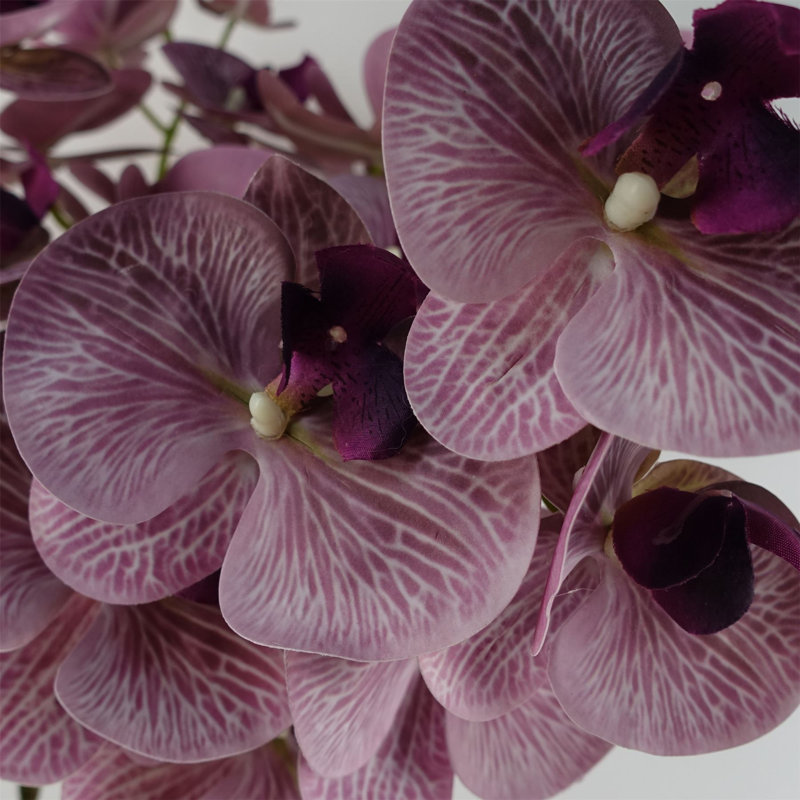 100cm Purple Phalaenopsis Orchid Stem