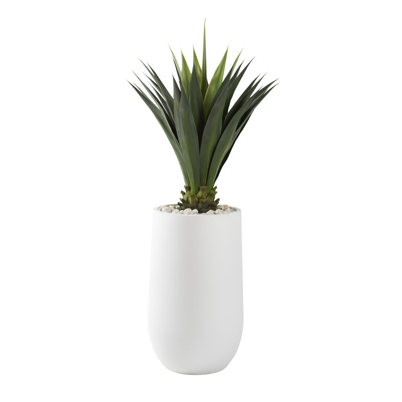 Agave géante en pot rond, H 65 po x l 26 po x P 26 po