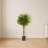 Ficus Tree Topiary Artificial Plant