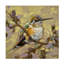 «Andrea Lavery At Rest», art sur toile-544672963