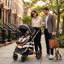 Poussette convertible pour bébé pour le voyage, landau pliable pour grand paysage, noir-125304458