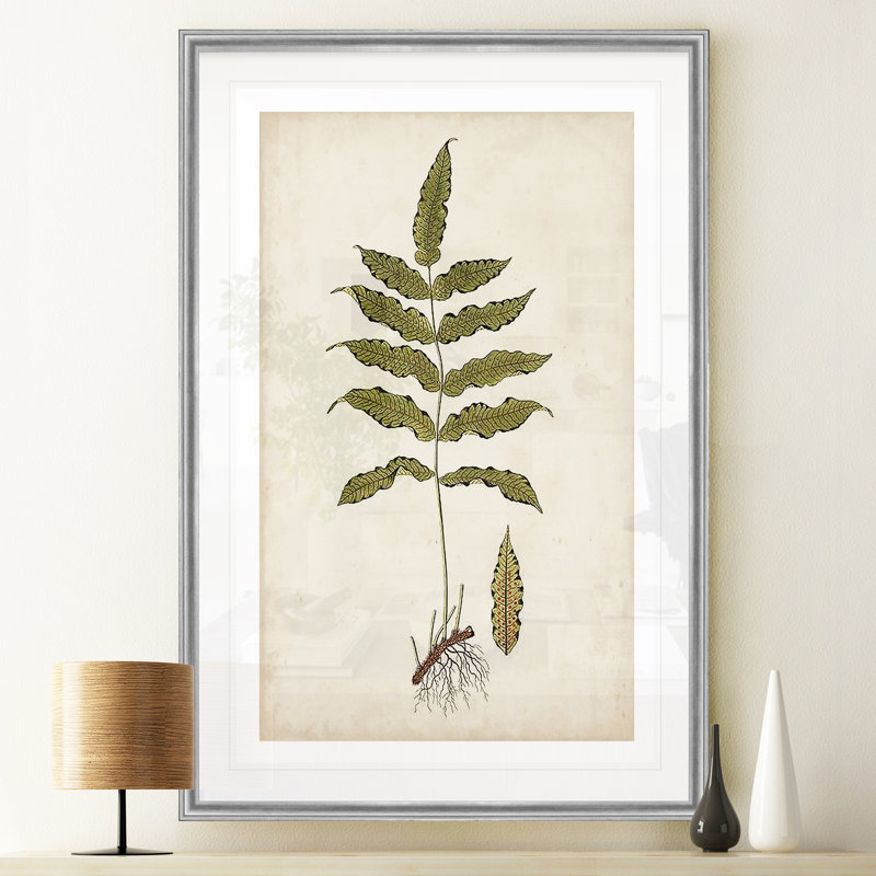 « palm botanique iii »-impression sur toile, H 22,5 po x l 30,5 po x P 1,5 po, Cadre argenté