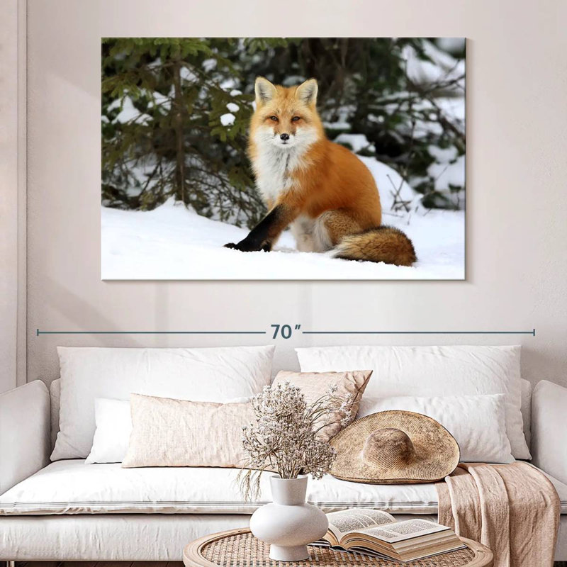 Renard roux d'hiver, H 34 po x l 51 po