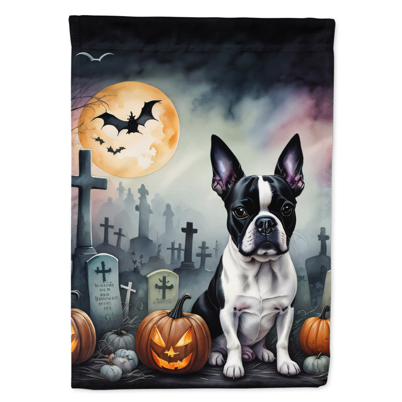Double Sided 15.5'' H x 11.25'' W Polyester Halloween Garden Flag