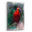 «Scarlet ibis» par Robert Campbell, art mural en verre acrylique-1570196703