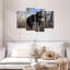 Ours paresseux Brampt-108889963