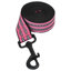 Pet Carrier-1521727703
