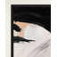 Softness-719585576-719585579-719585578