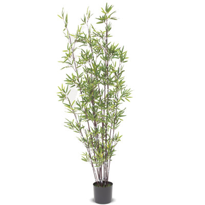 188cm Faux Bamboo Tree in Earthenware Pot