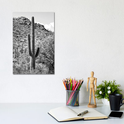 Cactus Hill by Philippe Hugonnard - Wrapped Canvas Print