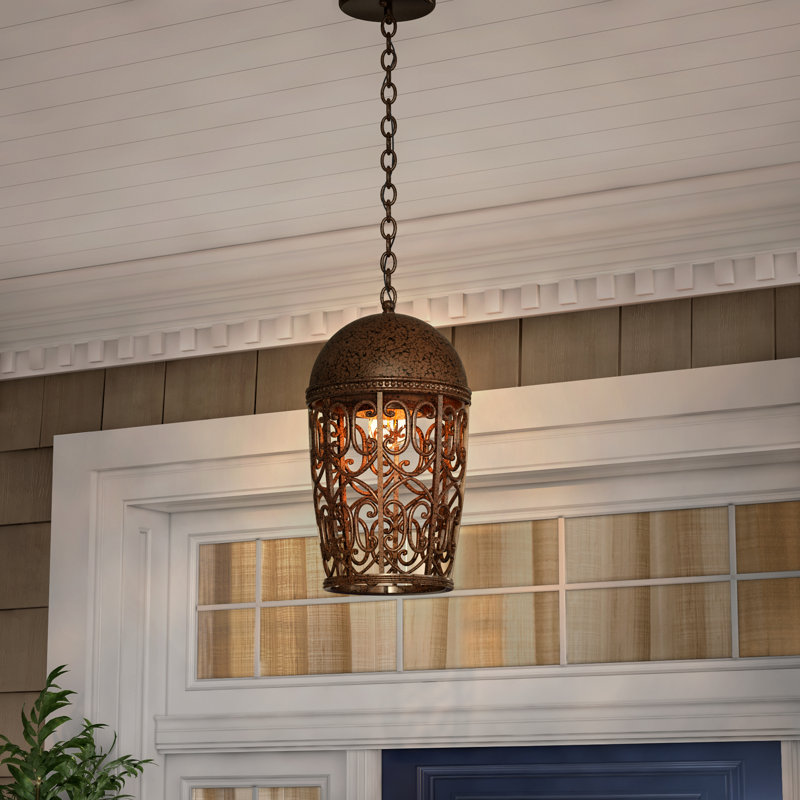 Luminaire suspendu d'extérieur 1 lumière H 17,75 po Claverack