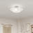 Aneudi Semi Flush Mount-1285821922-1285821148