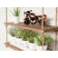 Gove 3 Piece Poplar Solid Wood Bracket Shelf