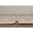 Ambrah Oriental Indoor Rug-1684098013