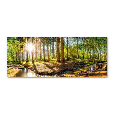 Panorama of the Forest 1 Piece Wall Art on Canvas