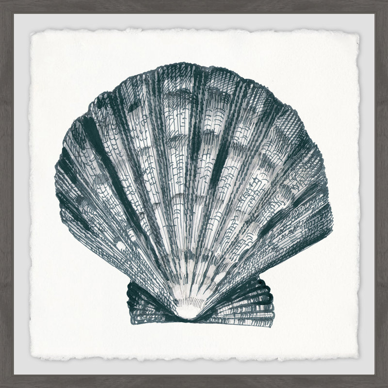 «Arctic Scallop Shell», reproduction encadrée, H 12 po x l 12 po x P 1,5 po