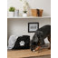 Bac pour animaux Paw-432920688-432920691