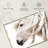 Brampt White Horse Mane-107719428