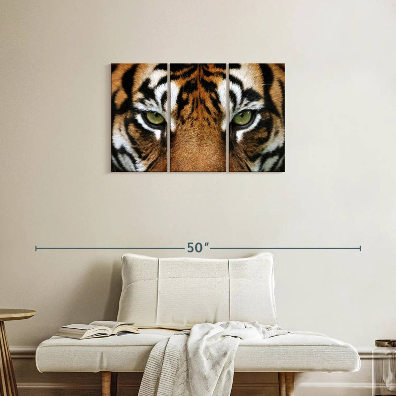 Brampt regard d'un tigre, H 20 po x l 33 po