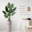 Faux Foliage Plant in Planter-593772050