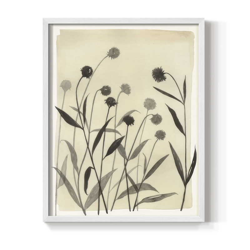 Summer Echinachea I Framed Print - Solid Wood, H 30 po x l 24 po, Blanc
