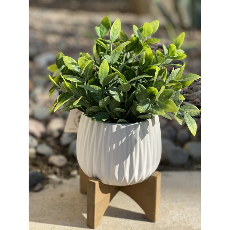 Primrue Faux Plants 8.9'' Faux Eucalyptus Plant in Ceramic Pot