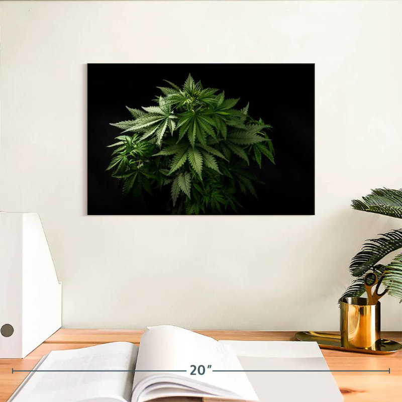 Senne Marijuana Cluster, 8" H x 12" W