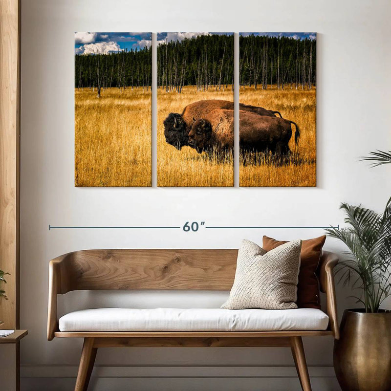 Brampt Bison In Summer, 32" H x 50" W
