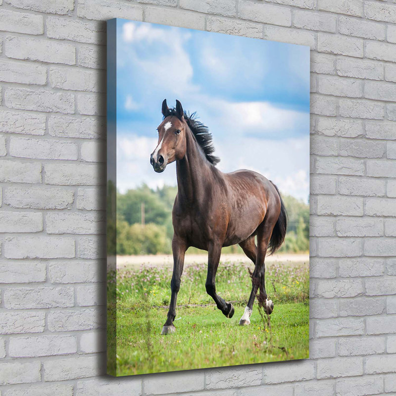 Horse On The Field - Wrapped Canvas Print