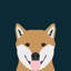 Shiba Inu, impression sur toile tendue-19741992-74755675-74755676