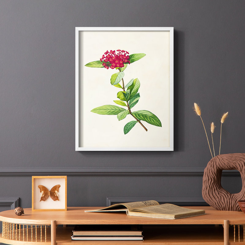 «Pretty Pink Botanicals II», reproduction encadrée - bois massif, Blanc, H 28 po x l 22 po