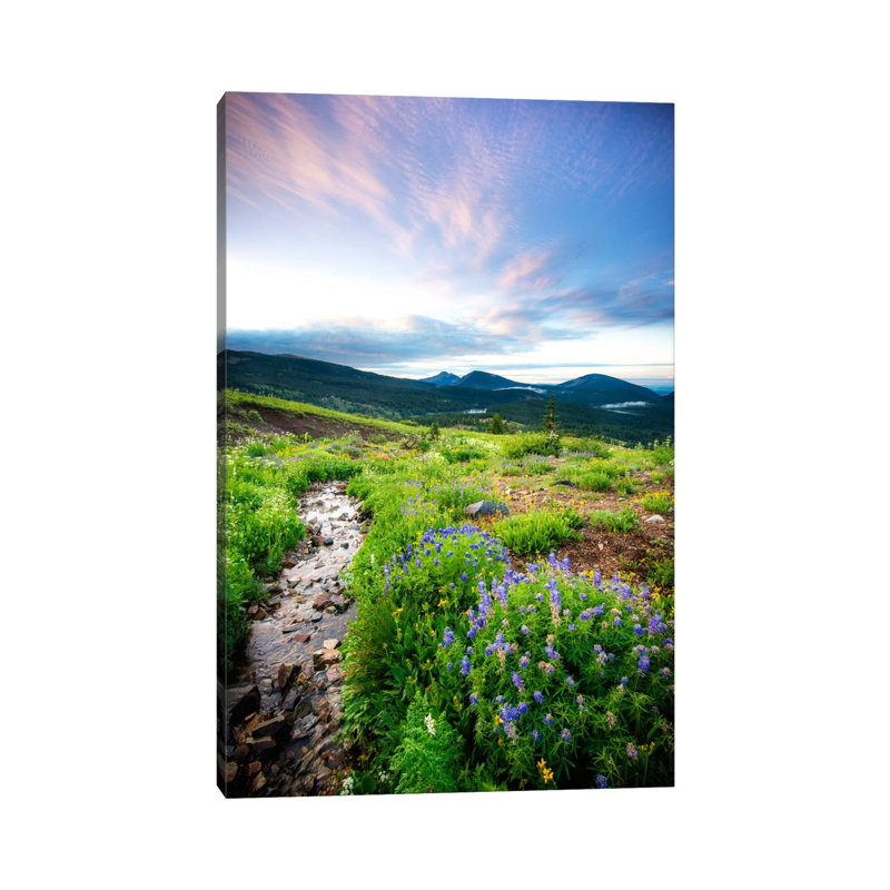 Crested Butte Stream by Dan Ballard - Wrapped Canvas Print, 66.04 cm H x 45.72 cm W x 1.91 cm D