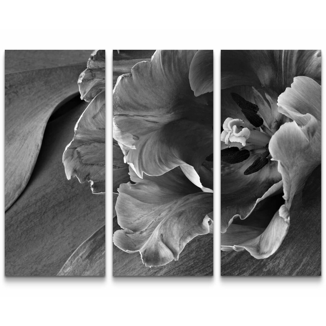 3-tlg. Leinwandbilder-Set Papageien Tulpe