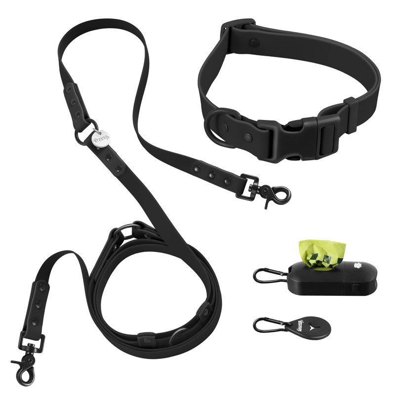 Laisse ajustable mains libres et collier 6-en-1 avec lampe DEL Luna 8 pi, Noir