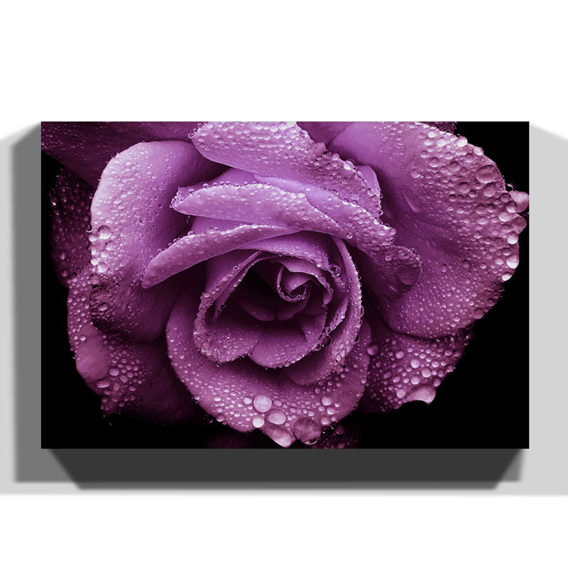 Wrapped Canvas Print, 70cm H x 100cm W