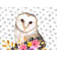 Housse de couette Beautiful Owl - Décoration de chambre à coucher avec fleurs et animaux