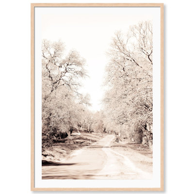 Fall Trail Print by Carly Tabak