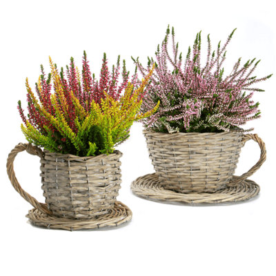 Paullina Statue Planter