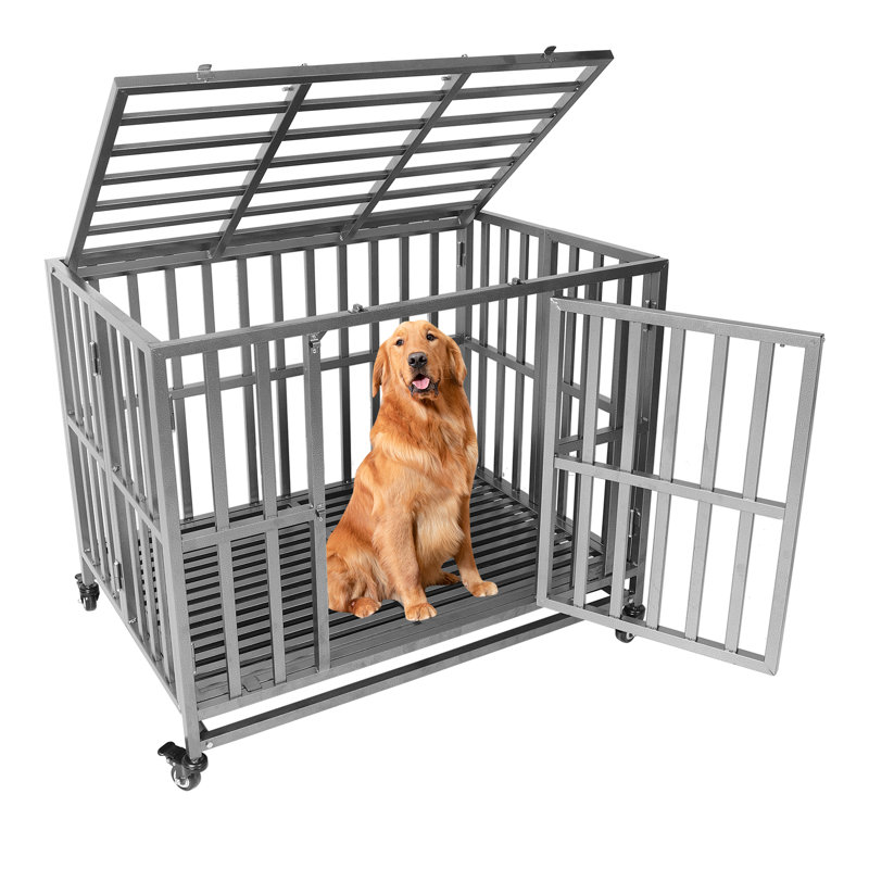 Caisse pour animaux robuste, Petit (H 31 po x l 26 po x P 37 po)