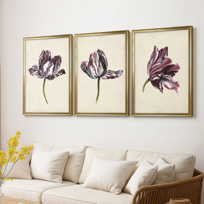 Antique Tulip Study I - Toile tendue avec châssis sur mesure - 3 pièces