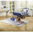 Simmons Beautysleep Siesta Memory Foam Rollup Bed