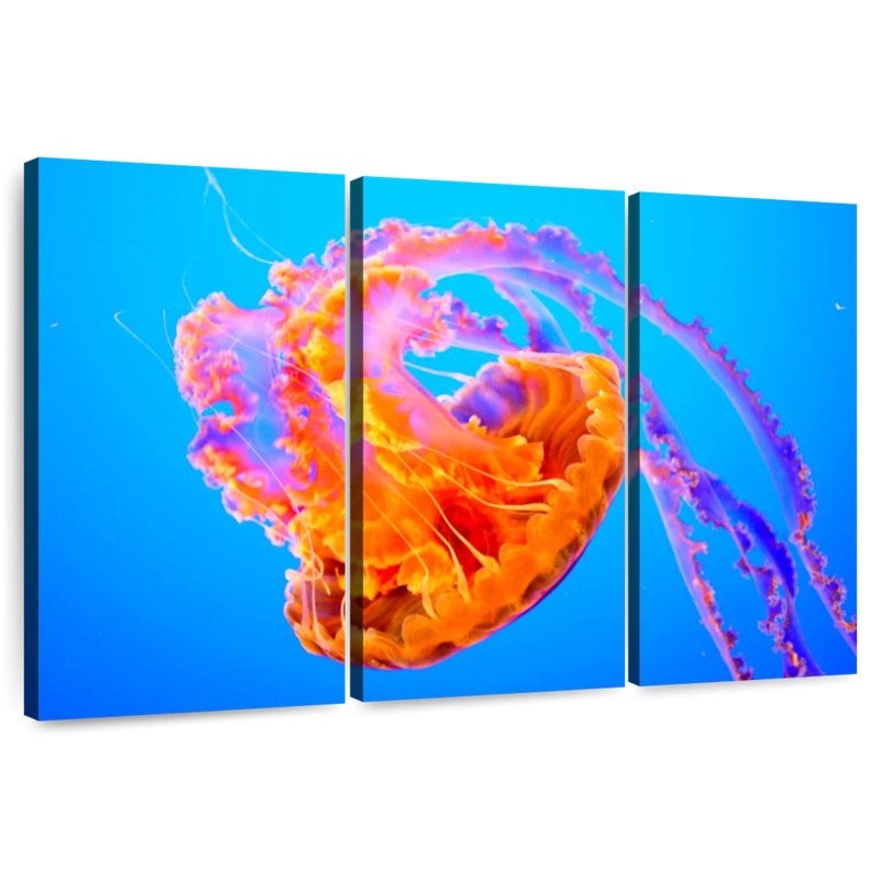 Jellyfish Somersault, 28" H x 45" W