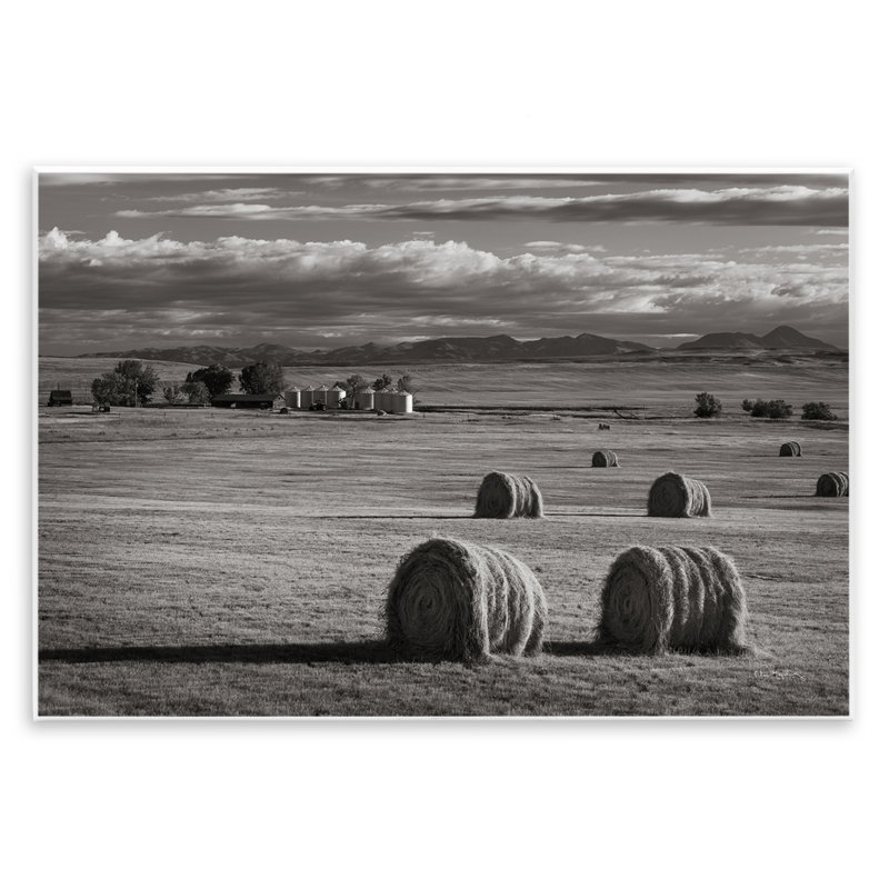 «Montana Hay Bales» par Alan Majchrowicz, H 10 po x l 15 po