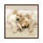 Classic Brown Wood Framed is unavailable