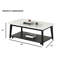Table basse contemporaine avec tablette de rangement inférieure